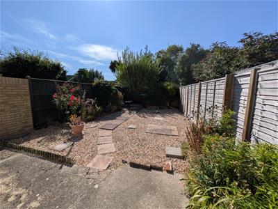 Picture 15